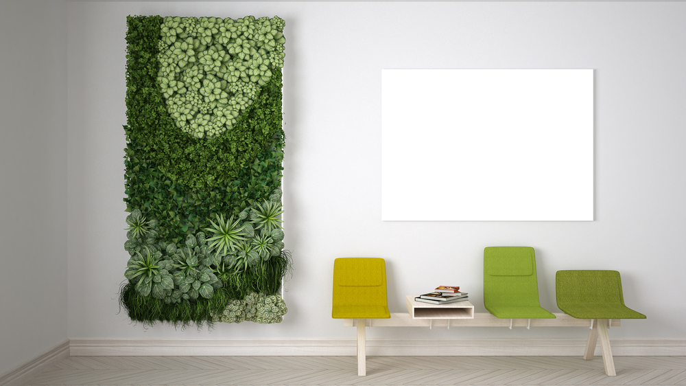 Installing a living wall in your apartment